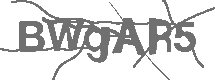 CAPTCHA Image